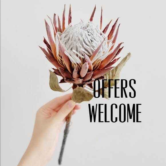 Offers Welcome - Picture 2 of 2